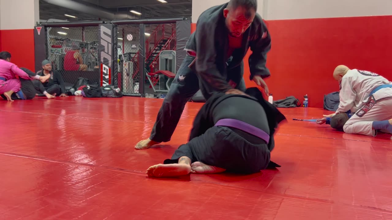 Jiu Jitsu (08-06-2024)