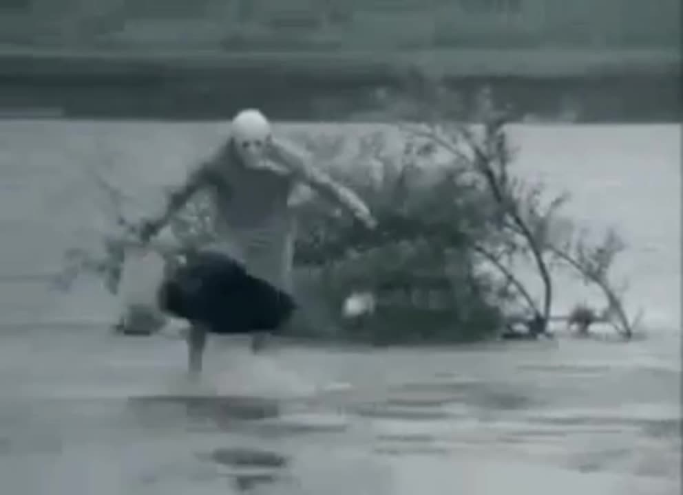 funny Hard bass angry auntie