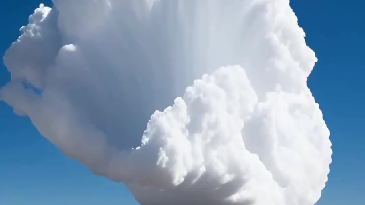 Amazing short video /respect video viral