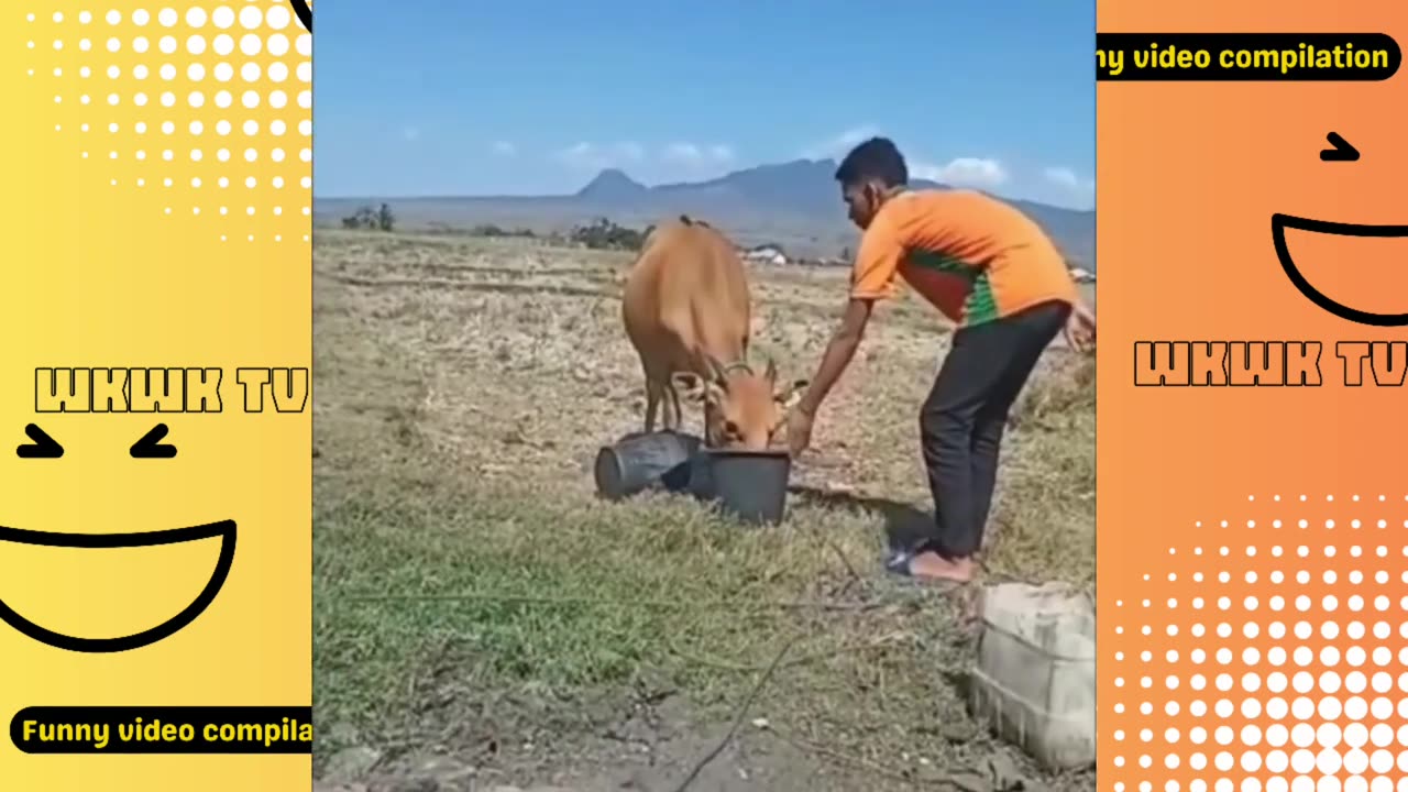 Funny virals of the year. best fails video 😂😂😂