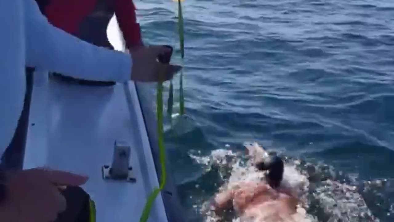 Watch how open water swimmers do a feed during a long swim