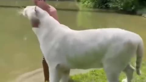 Best funny animal of 2k23 || funniest animal ever || Funny reaction