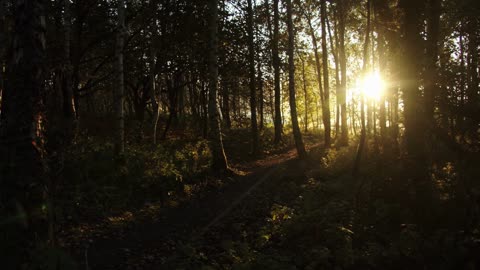 Ośmiominutowa relaksacja