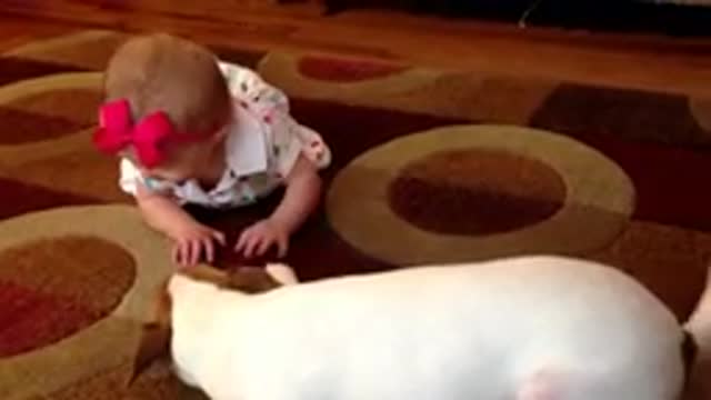 dog teaches a child