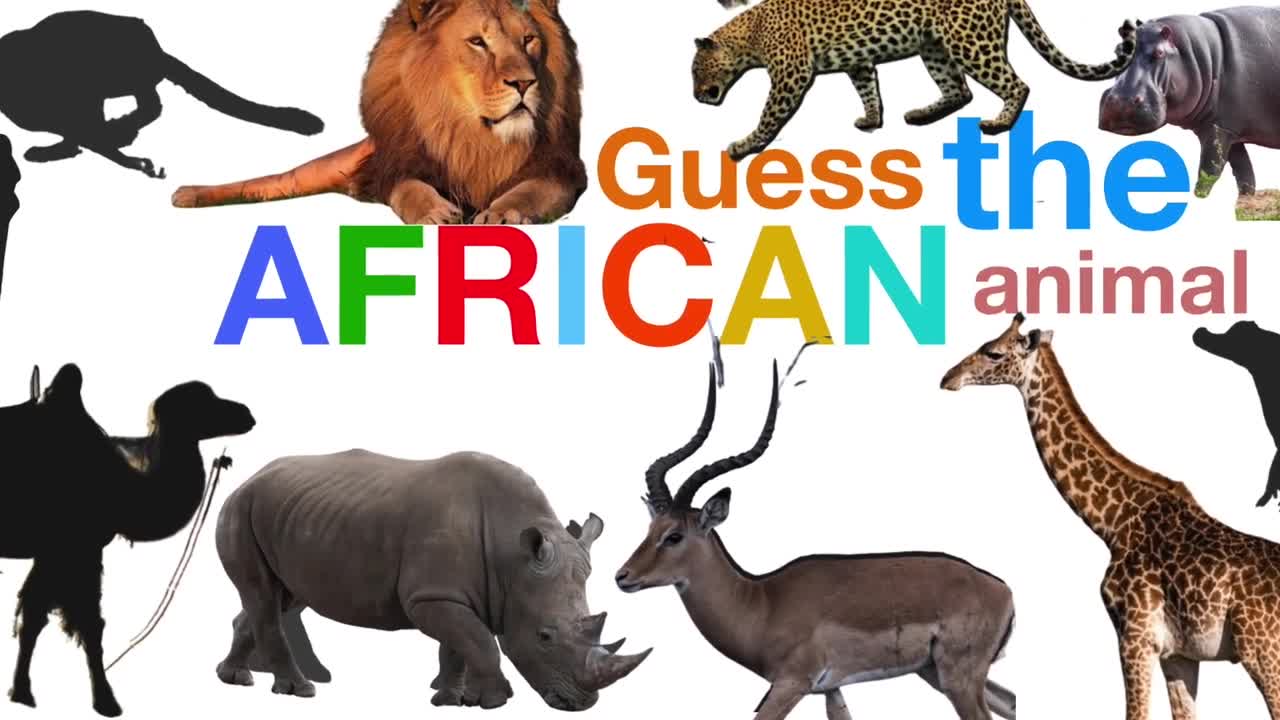 AFRICAN ANIMALS: GUESS THE ANIMAL SOUND GAME