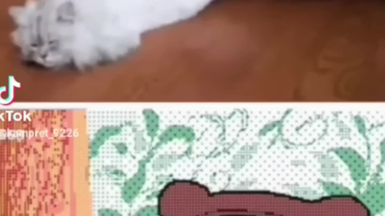 Meme made by real life