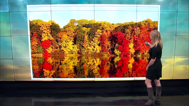 Ask Ellen Why are the fall colors exceptionally bright