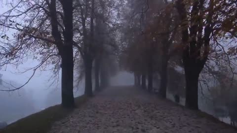 Natural scenery