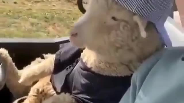 Nice video 📹
