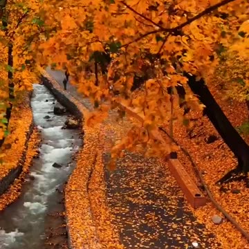 Welcome Fall Colors !