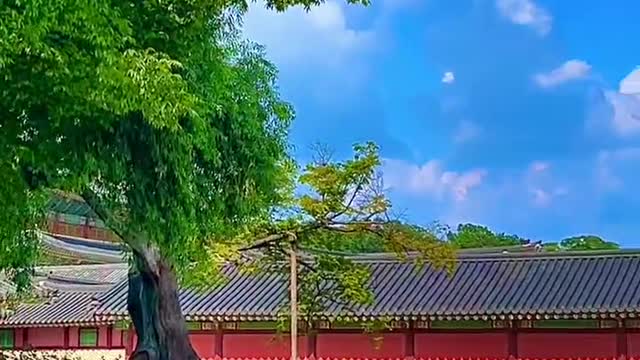 Come and have a look, the beautiful scenery