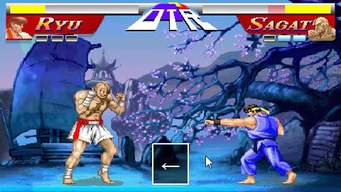 Street Fighter 2: Ryu vs Sagat