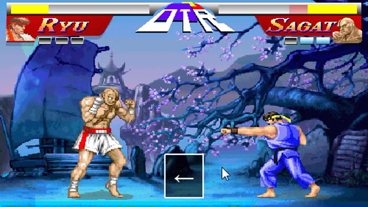 Street Fighter 2: Ryu vs Sagat