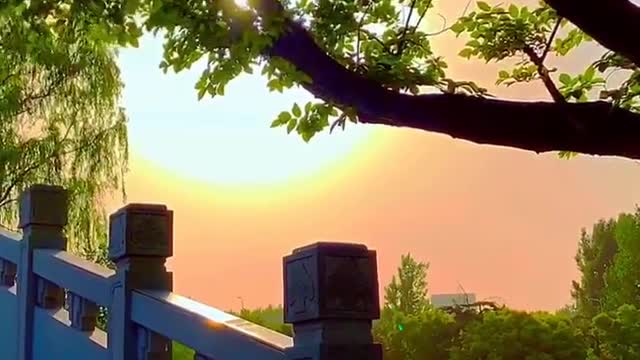 唯美画面 竖屏 (llzmtsc独家整理) (14)