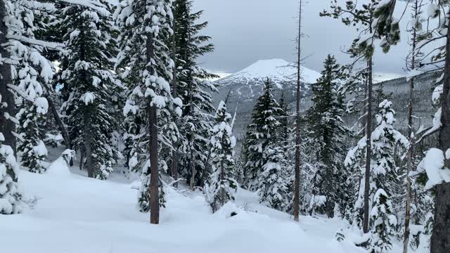 Mount Bachelor Framed by Deschutes National Forest – Central Oregon – Vista Butte Sno-Park – 4K