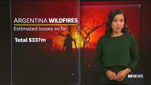 Argentina wildfires: Corrientes declared 'ecological and environmental disaster zone' | The World