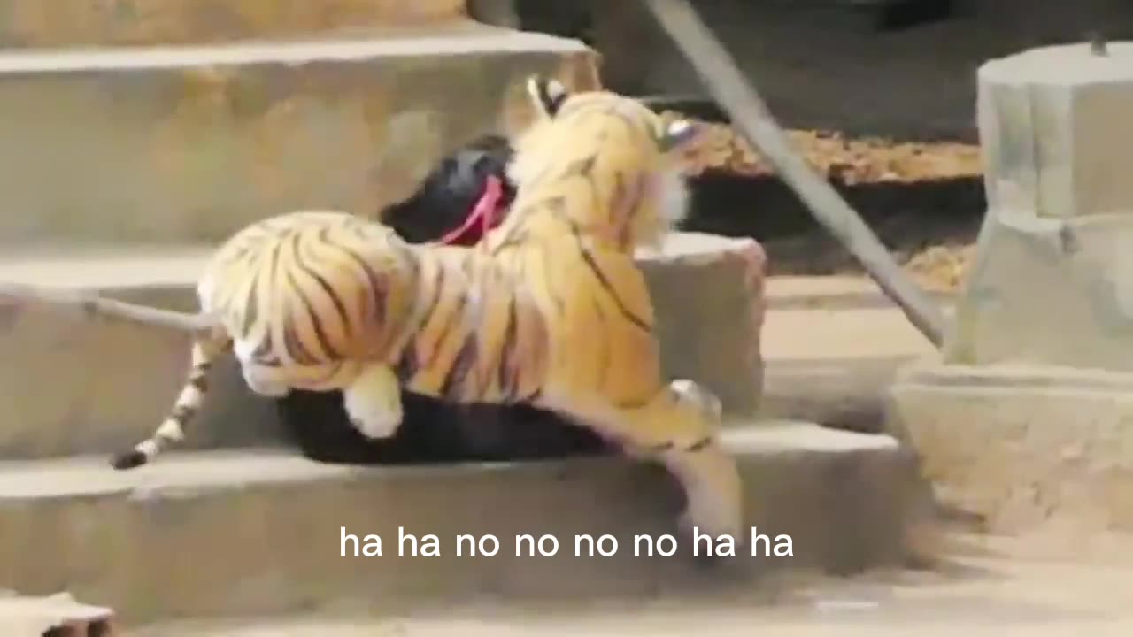 FAke Troll Tiger Prank