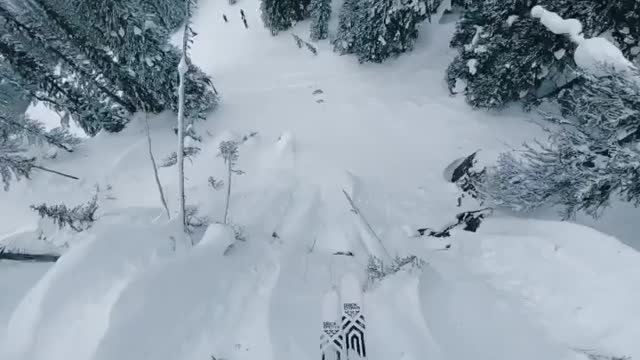 Gracias ridge has so much stuff to jump off! . . . . . .