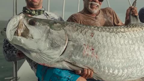 how to catch fish by hook. Fishing video. 