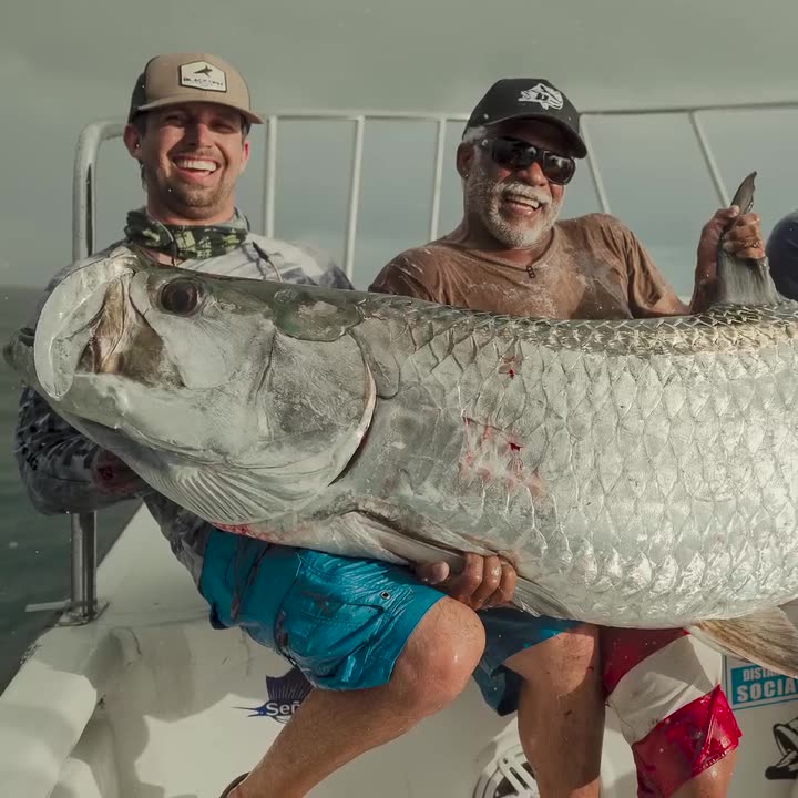 how to catch fish by hook. Fishing video.