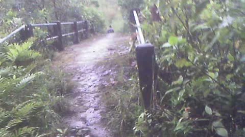 2 Rivers meet at Bridge hiking to 7 Petroglyphs Pena Blanca Ecuador