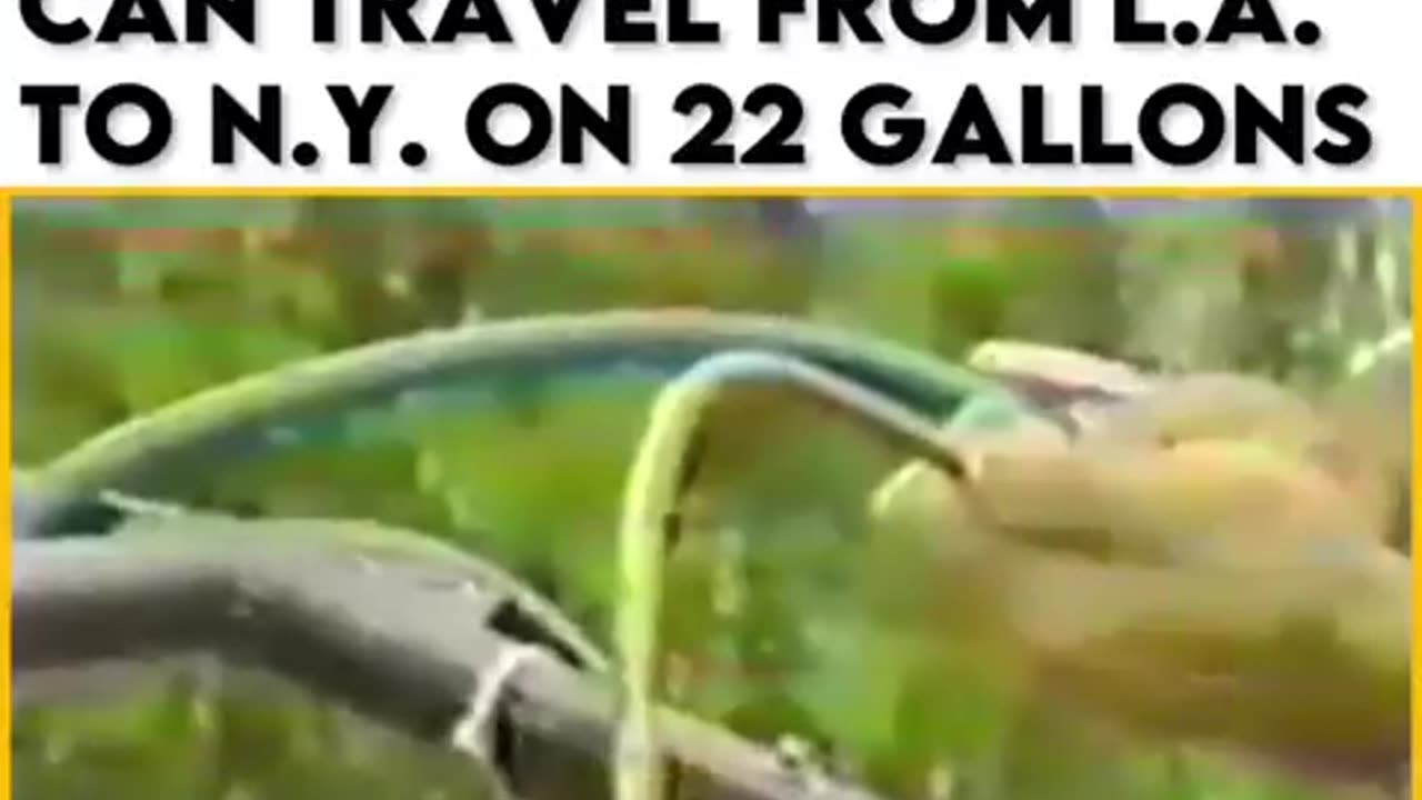 1976년 석유파동 시기에, 4리터의 물로 112마일을 가는 자동차를 만든 스탠리 마이어