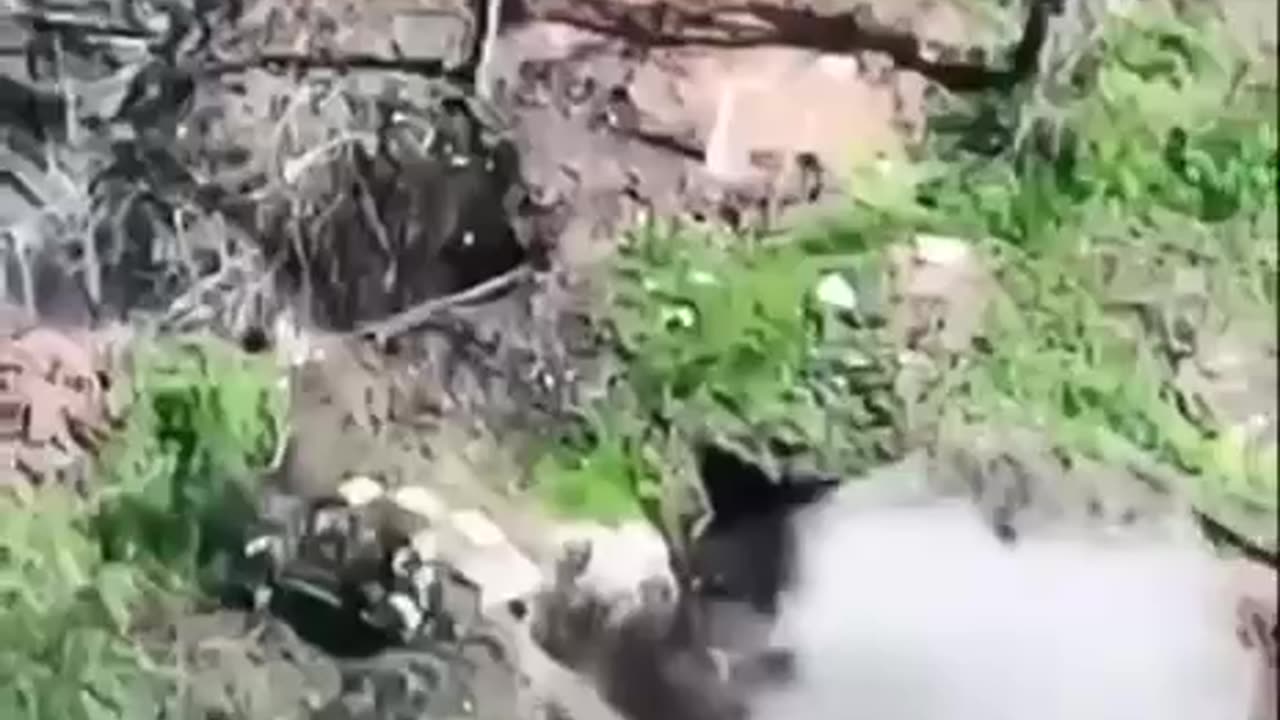 Drone-kamikaze flew in with delivery to visit the occupiers