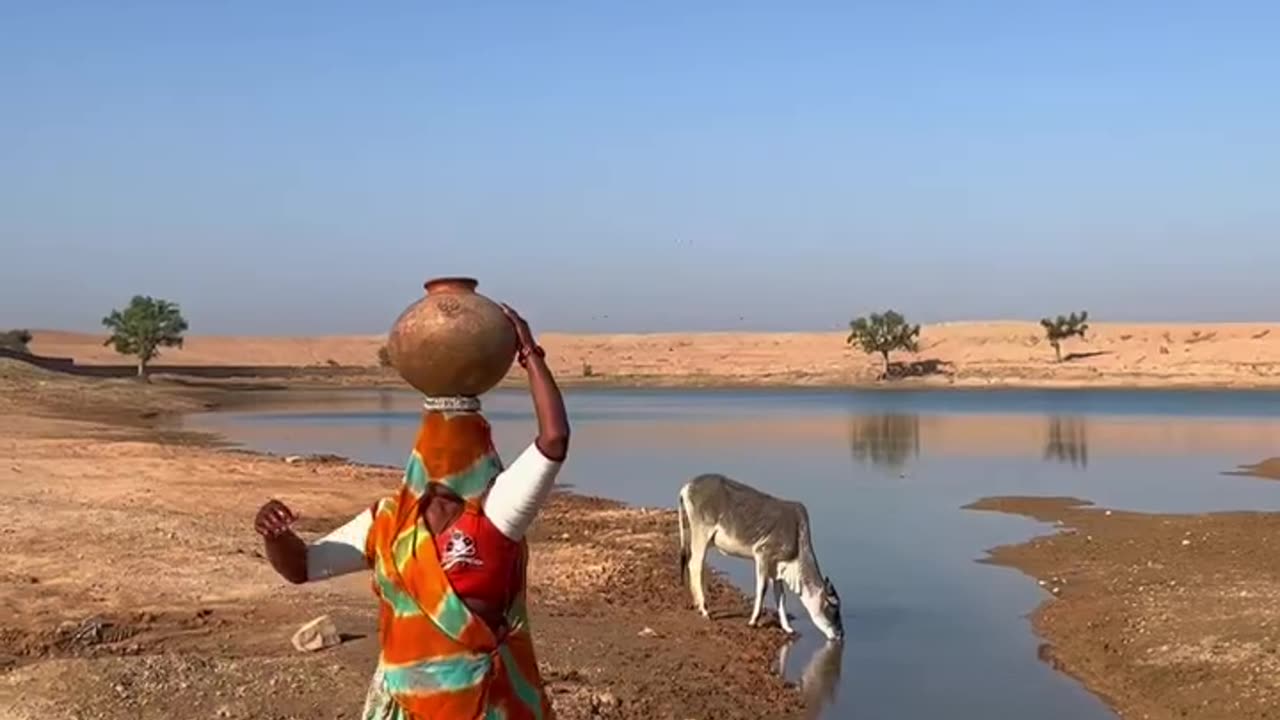 Indian culture 🎎