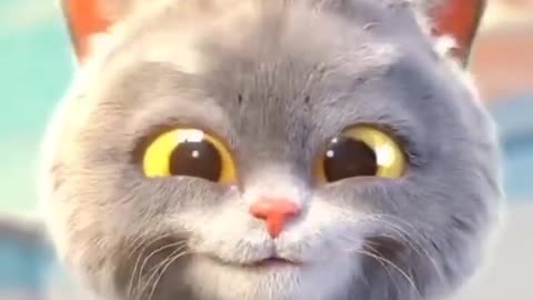 A Funny Cute cat dancing. cute cat.