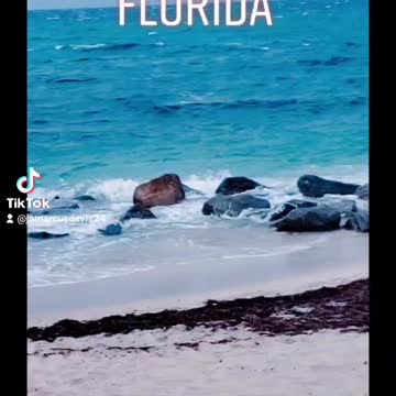 At The Beach At Boca Raton, Florida Part 2