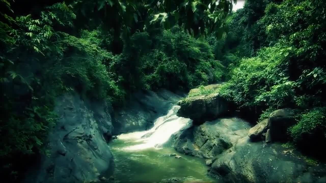 77 ()()()() Collection of beautiful natural scenery