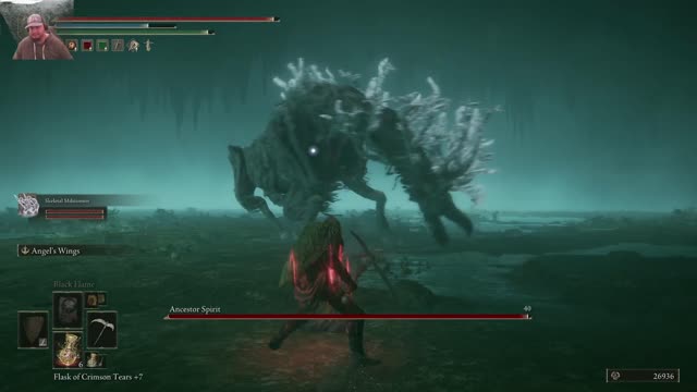 Elden Ring: Testing my Angel of Death Build
