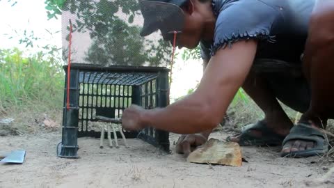 Tips in Catching Wild Cat using Plastic Basket.