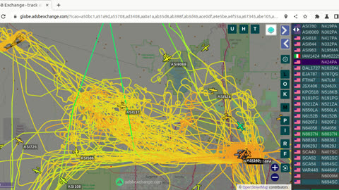 Bird Mafia Utah Dec 20th 2023 - 1pm airplane gang bang report -