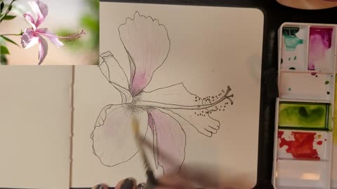 Painting a Hibiscus