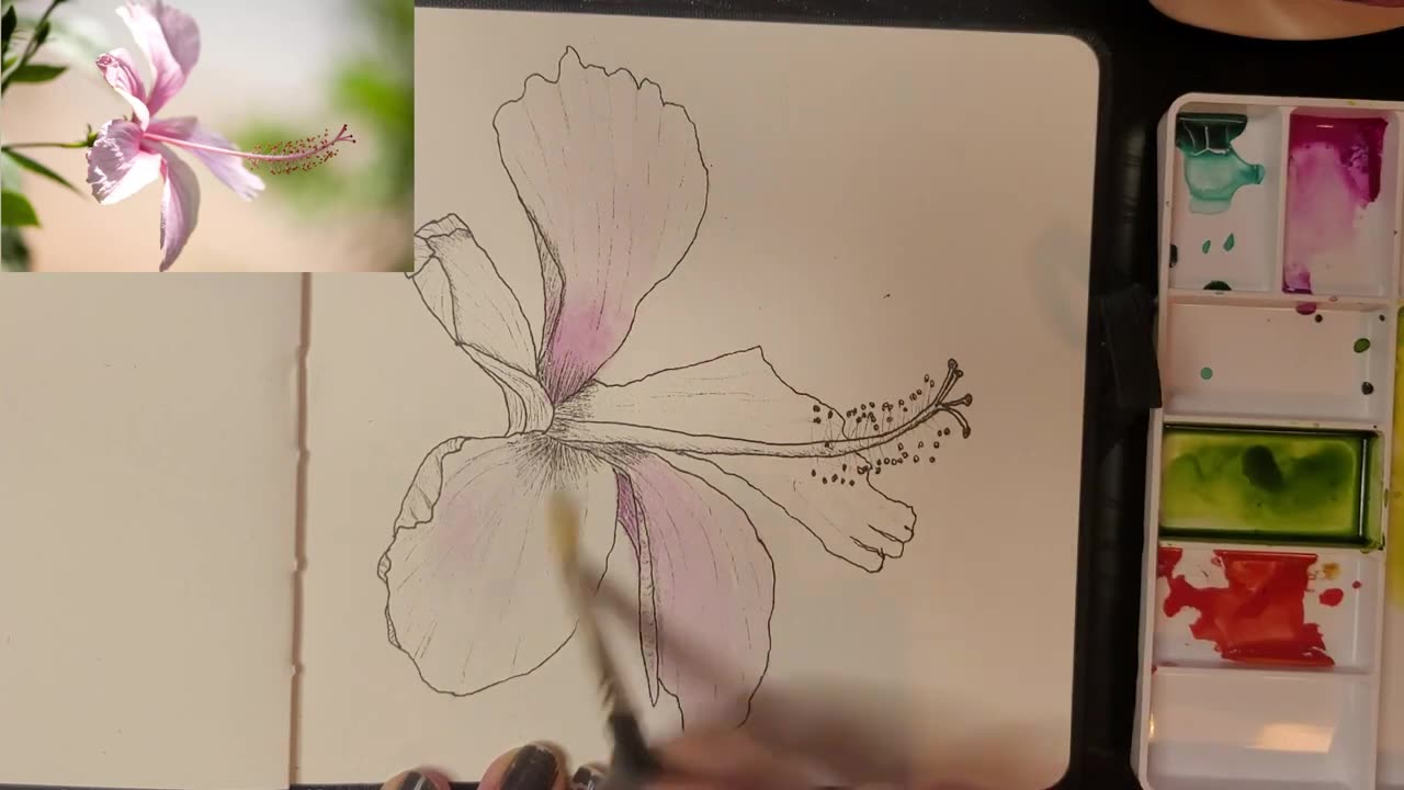 Painting a Hibiscus