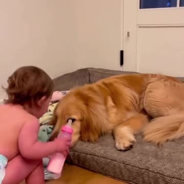 Love you furrever ❤️