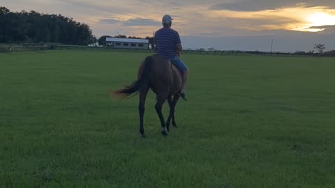 🤠#Florida #shorts