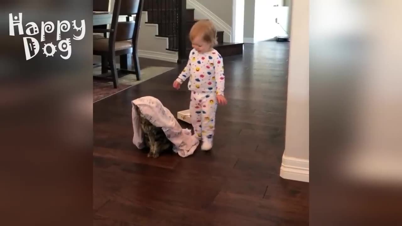 Cute cats and Dogs | Funny video #122