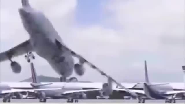 big bird