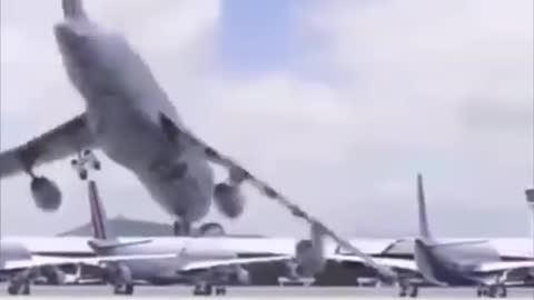 big bird
