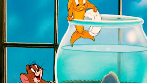 Tom and jerry carton videos
