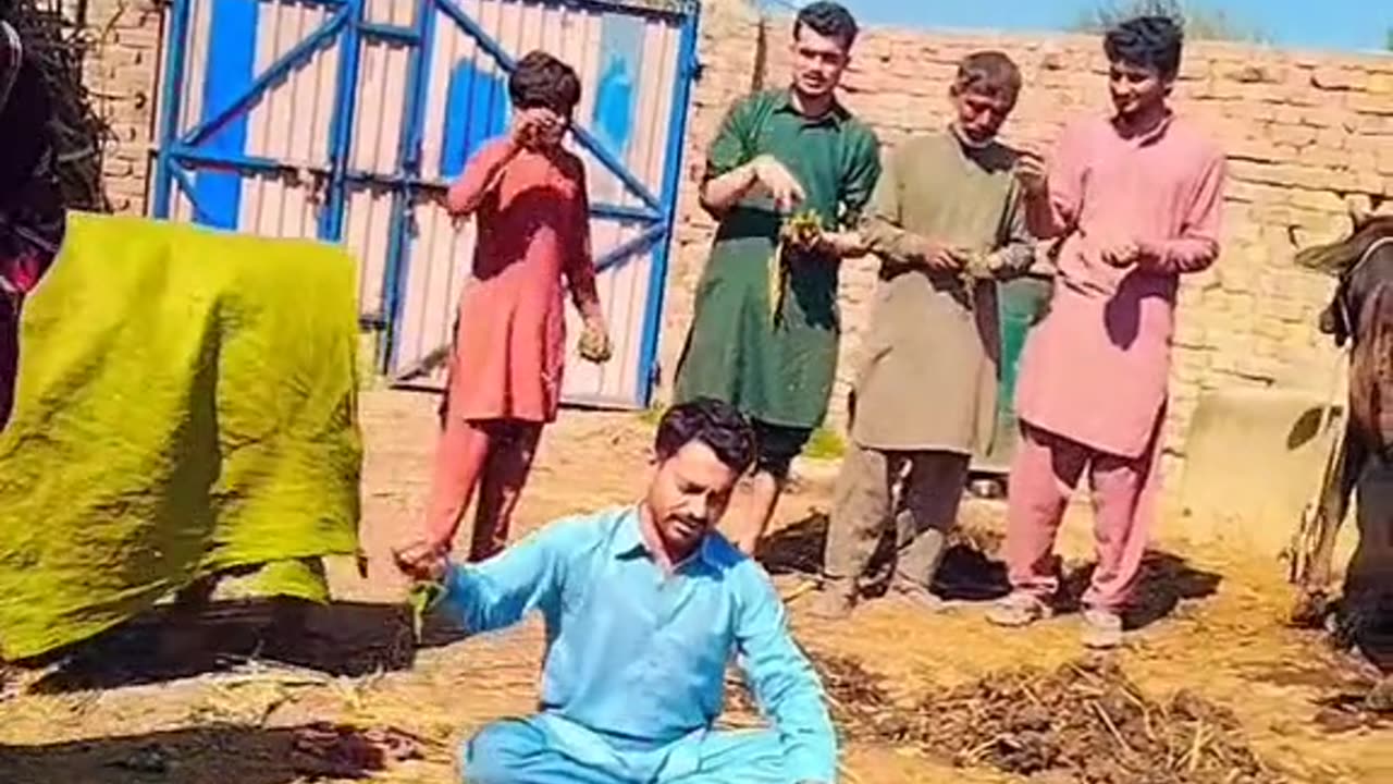 Pakistani funny videos