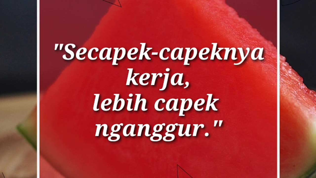 QUOTES-content- FUNY VIDEO LOL (5)