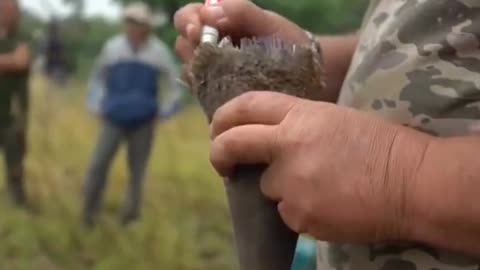 Animals fact This video was very helpful