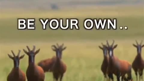 no one is coming to save you