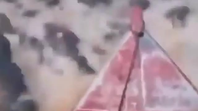 This is a beautiful and charming water-dwelling species