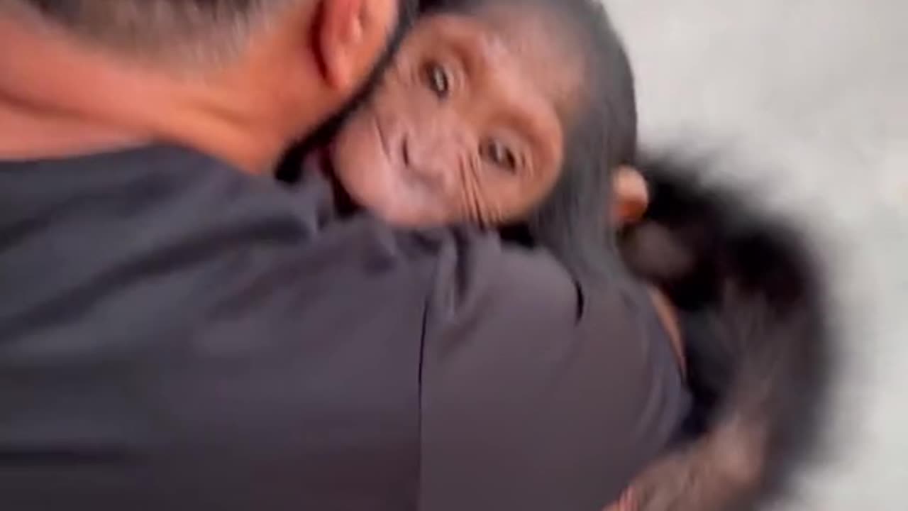 Human and animals love