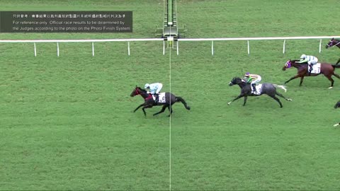 Horse_Race_2022060503_English