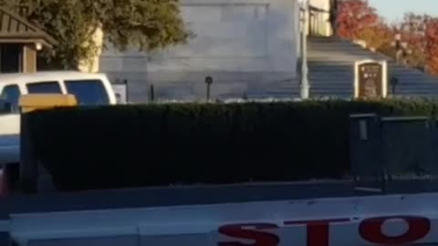 They're carrying stretchers in